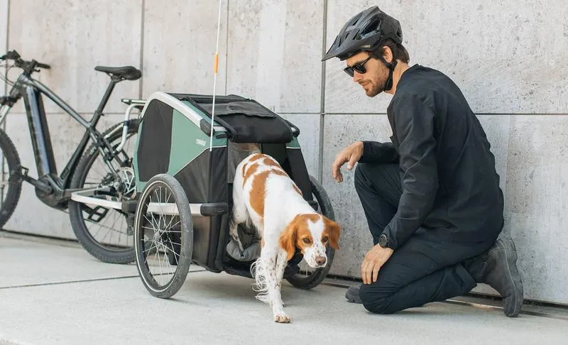 Bezpieczne i wygodne sposoby na przewiezienie psa na rowerze