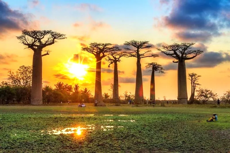 Co hamuje rozwój turystyki w Afryce? Obraz trudności i wyzwań