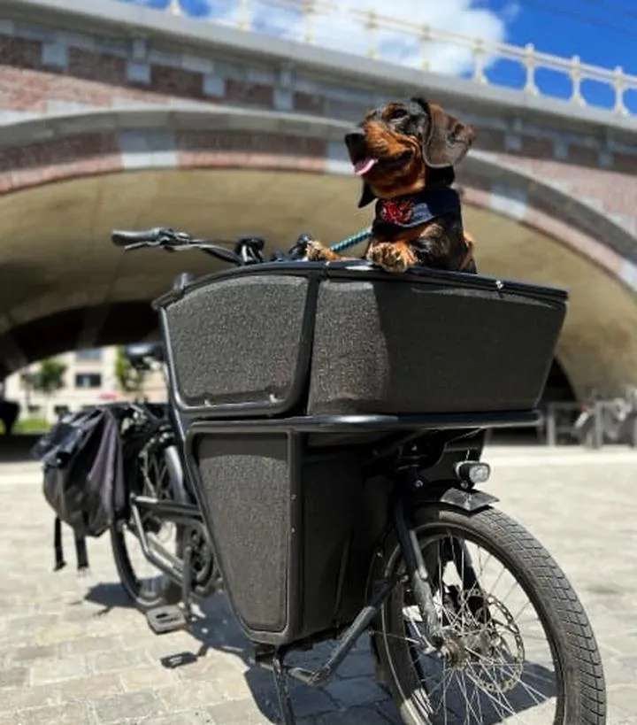 Akcesoria dla psów na rowerze