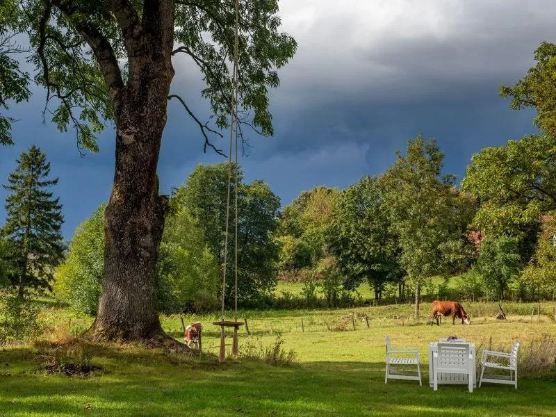 Turystyka wiejska i agroturystyka