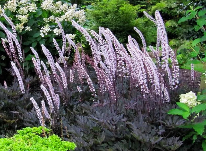 Wieża widokowa w Czerncu