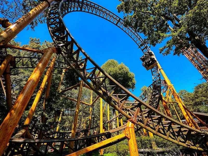 Wymagane dokumenty do Holandii